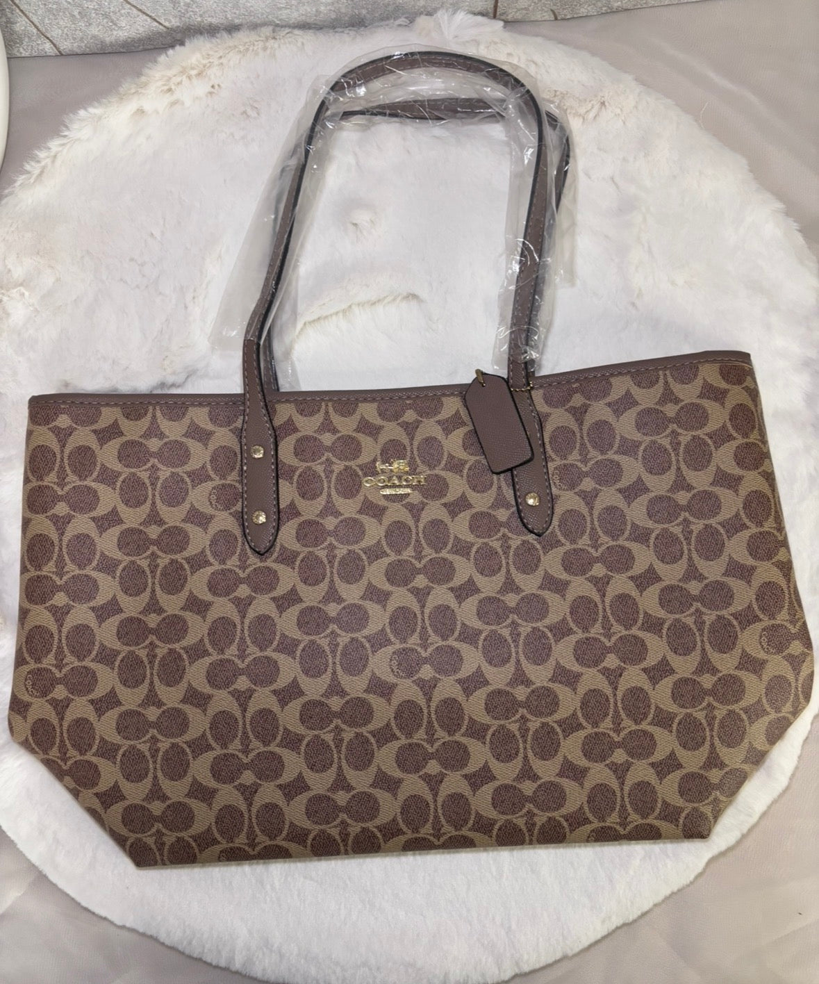 Coach City Tote in Signature Canvas